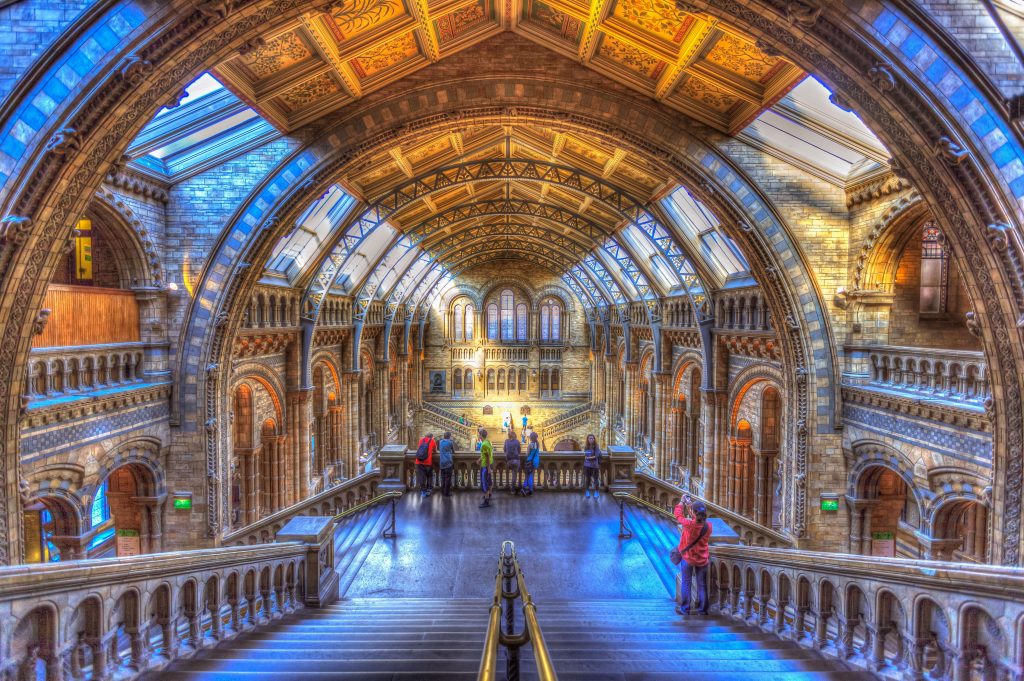 London-Tour Naturhistorisches Museum